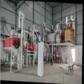 Wheat Grading Plant