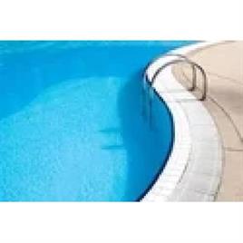 Swimming Pool Ladders