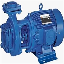 Monoblock Pump 2 Hp