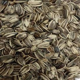Natural Black ADILAID Premium Sunflower Seed (Imported) (500g), For Farming, Packaging Type: Packet