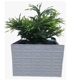 Decorative Frp Flower Pot
