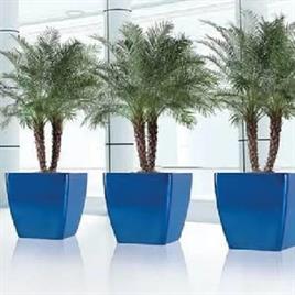 Rectangular Frp Flower Pot