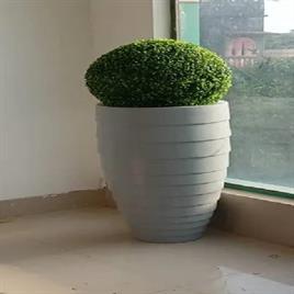 Frp Decorative Flower Pot