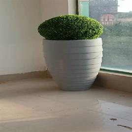 Frp Decorative Flower Pot