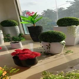 Frp Decorative Flower Pot