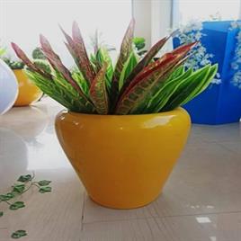 Frp Planters And Pots