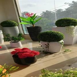 Frp Planters And Pots