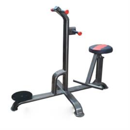 Double Twister Gym Machine