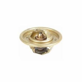 2485639 THERMOSTAT VALVE, Size: Standard
