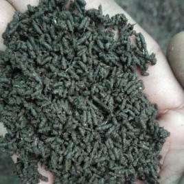 25 Kg Bag Powder AnushikA Agri Vermicompost, For Agriculture, Packaging Size: 25kg And 50kg