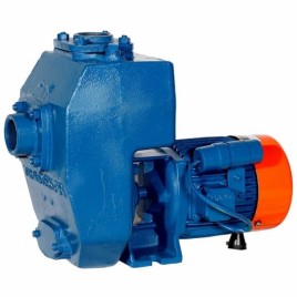 3000 Cast Iron SPM Self Priming Pumps, Max Flow Rate: Upto 200 Metre, Model: standard