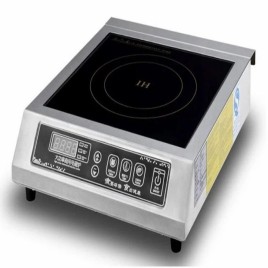 3500 W Black FROST MASTER COMMERCIAL INDUCTION COOKER