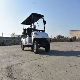 4 Golf Cart Rental Services, For Traveling, Charges Mode: Per Day