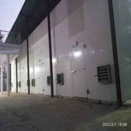 4 Ton Blue Star Banana Ripening Chamber