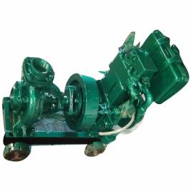 5 HP Diesel Engine Pump