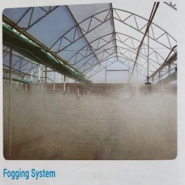 50 LPH Fogging System