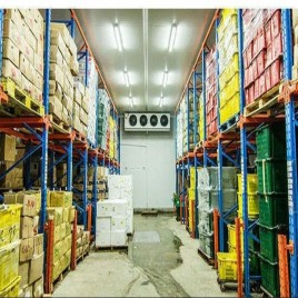 500 MT Vegetable Cold Storage