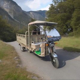 500Kg Electric Rickshaw Loader