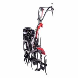 5.6 HP@3600 Rpm Pubert Maestro 55p