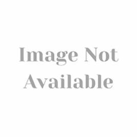6 Bolt Automatic cold Press Oil Mill Plant for mustard