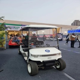 6 Golf Cart Rental Service
