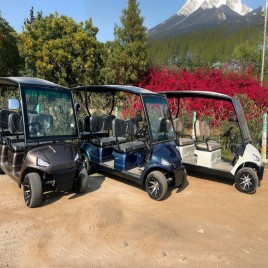6 Seater Electric Golf Cart, Max Km Per Charge: 80 Km, Loading Capacity: 1000 Kgs
