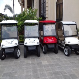 6 Seater Golf Cart Rental Services