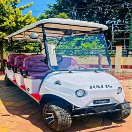 8 Seater Electric Golf Cart for Small and Large Campus Purpose