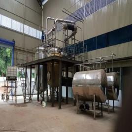 Adhatoda Vasica Extract Plant manufacturers