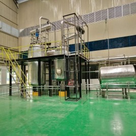 Adhatoda Vasica Extract Plant manufacturer