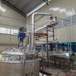Adhatoda Vasica Extract Plant manufacturer