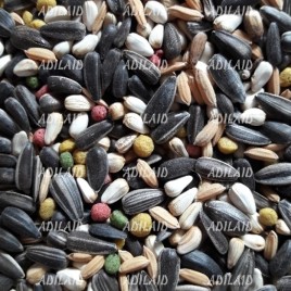 ADILAID Premium Medium Bird Feed, Packaging Type: Plastic Pack