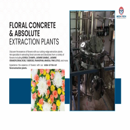 Agarwood Absolute Solvent Extraction Plant 100 TPD