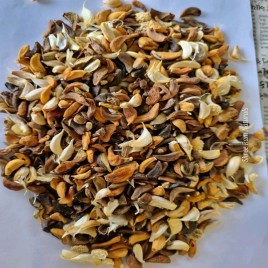 Air Dried Garlic Flake, 25 kg, Packaging: Plastic Bag or Polythene