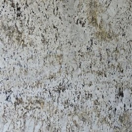 Alaska White Gold Granite