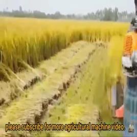 All In One Brush Cutter, Model: VAPL-5i1-52BC