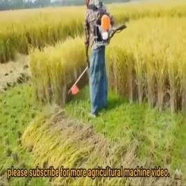 All In One Brush Cutter, Model: VAPL-5i1-52BC