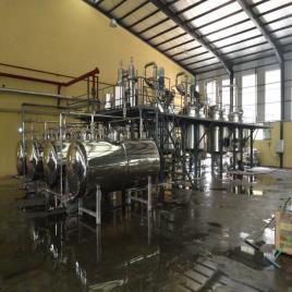 Aloe Vera Extraction Process Plant, Capacity: 10 TPD