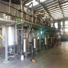Annanthamool Extraction Plant Manufacturers, Capacity: 100 TPD