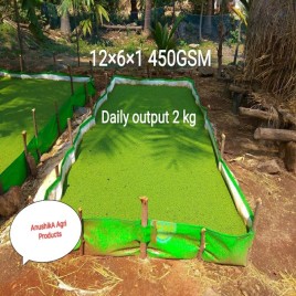 AnushikA Azolla Bed 12x6x1 450GSM