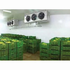 Automatic 5 Ton Fruit Ripening Chamber