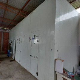 Automatic Blue Star Banana Ripening Chamber, 2 To 8 Degree