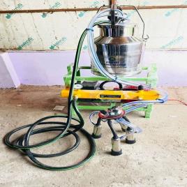 Automatic Buffalo Antique Milking Machine