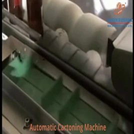 Automatic Cartoning Machine