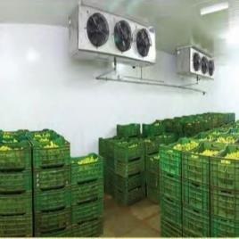 Automatic Fruit Ripening Chamber