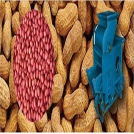 Automatic Groundnut Decorticator