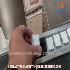 Automatic Horizontal Flow Wrapping Machine, Model Name/Number: Hmpl-hfw