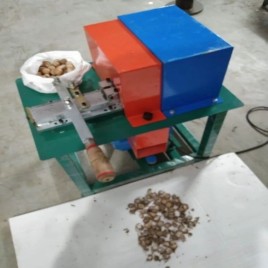 Automatic MS Supari Tukda Cutting Machine, Capacity(kg/hr): 20 kg/hr