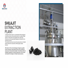Bacopa Monneri extraction plant manufacturing