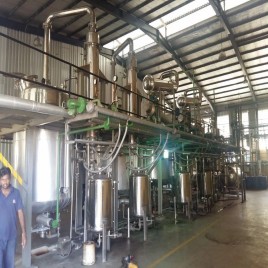 Bacopa Monneri extraction plant manufacturing